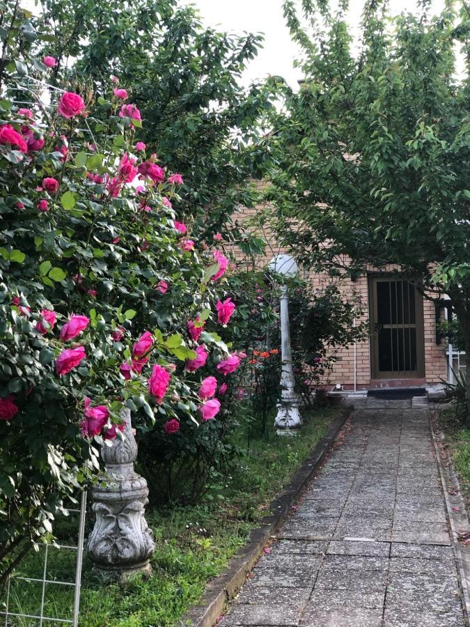 Villa Elita - Bela Crkva Бела-Црква Экстерьер фото